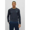 BOSS Blue Ritom Jumper