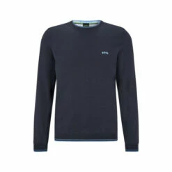 BOSS Blue Ritom Jumper -BOSS Shop unnamed file 2870