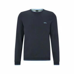BOSS Blue Ritom Jumper -BOSS Shop unnamed file 2871