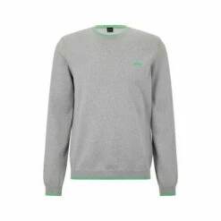 BOSS Blue Ritom Jumper -BOSS Shop unnamed file 2872