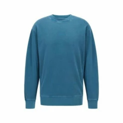 BOSS Blue Wefade Sweatshirt -BOSS Shop unnamed file 3610