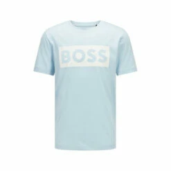 BOSS Blue Tiburt T-Shirt -BOSS Shop unnamed file 521
