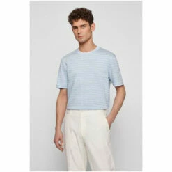 BOSS Blue Tiburt T-Shirt -BOSS Shop unnamed file 566