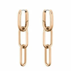 BOSS Gold Tone Tessa Earrings -BOSS Shop unnamed file 5791