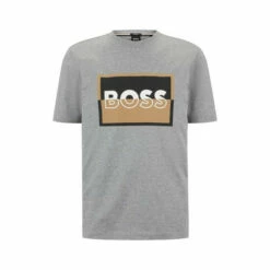 BOSS Silver Tessler 185 T-Shirt -BOSS Shop unnamed file 597